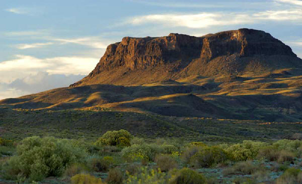 arizona: morgan's sunset